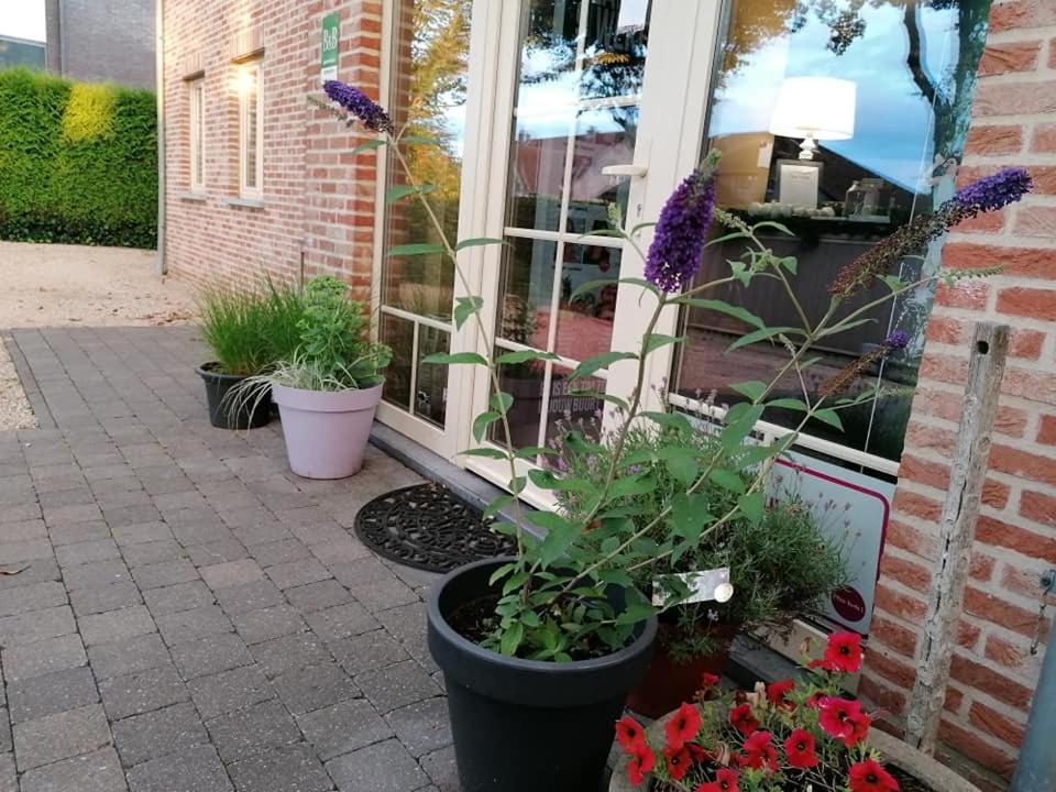Luxe Wellness B&B Tim Torfs ***** Beringen Exterior photo